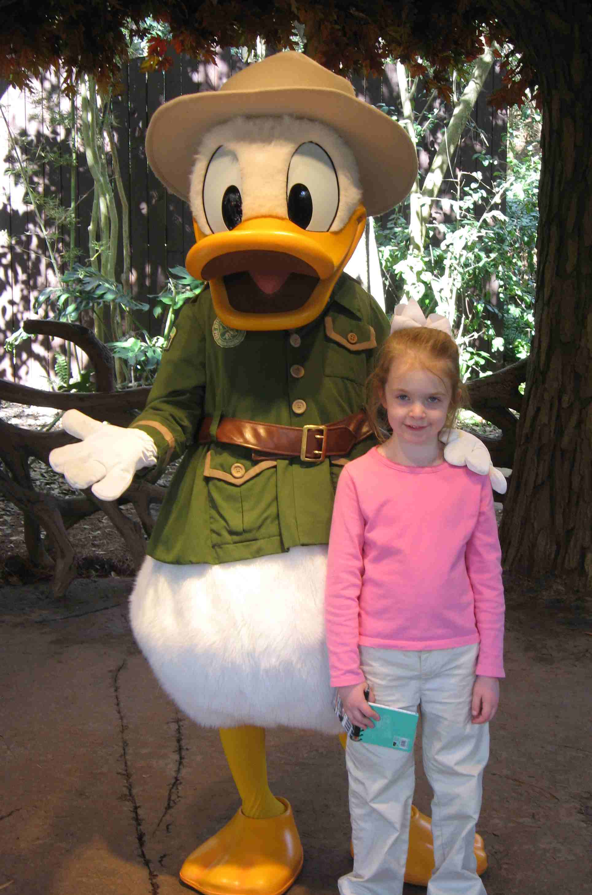 J and Donald Duck